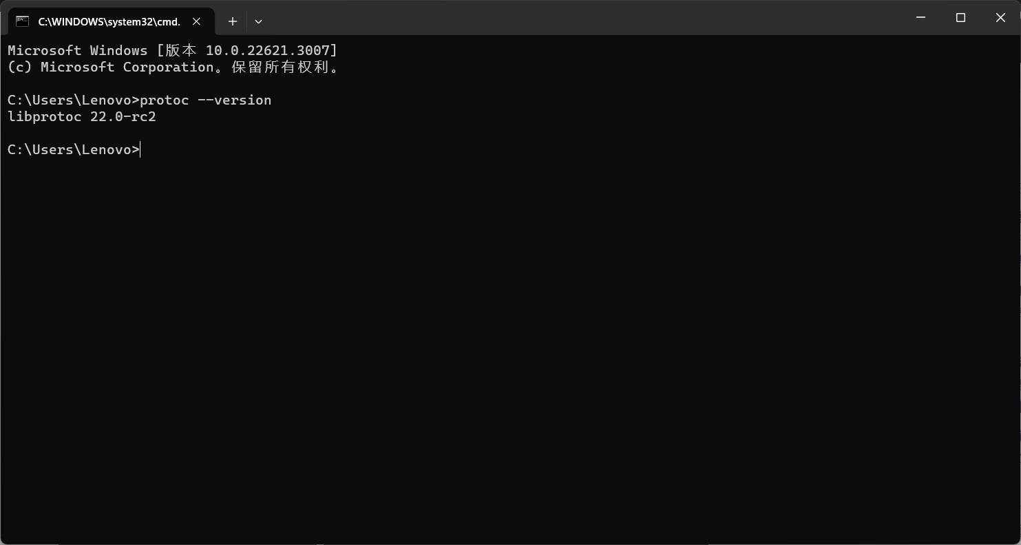 image-20240219202916151