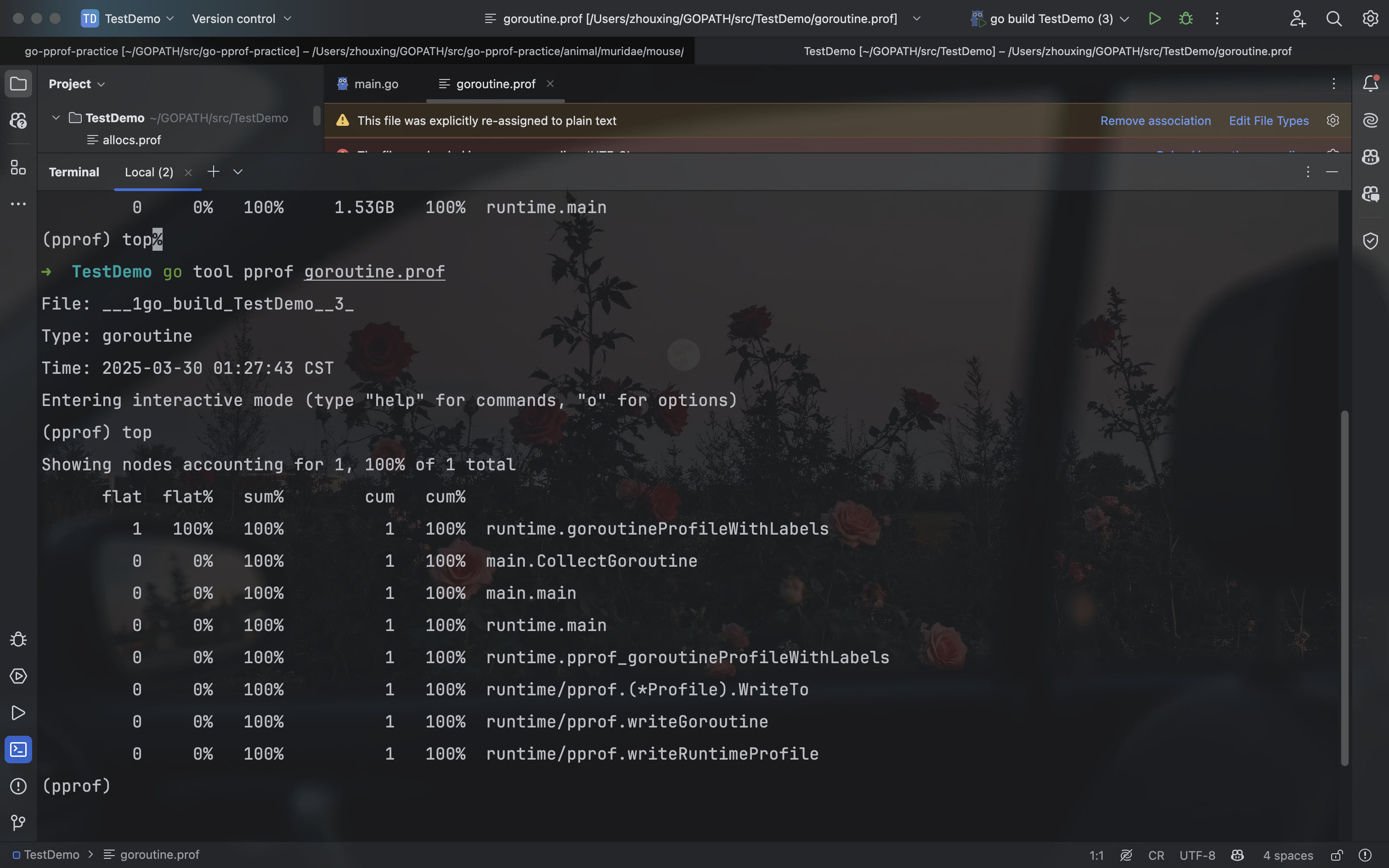 image-20250330012857371