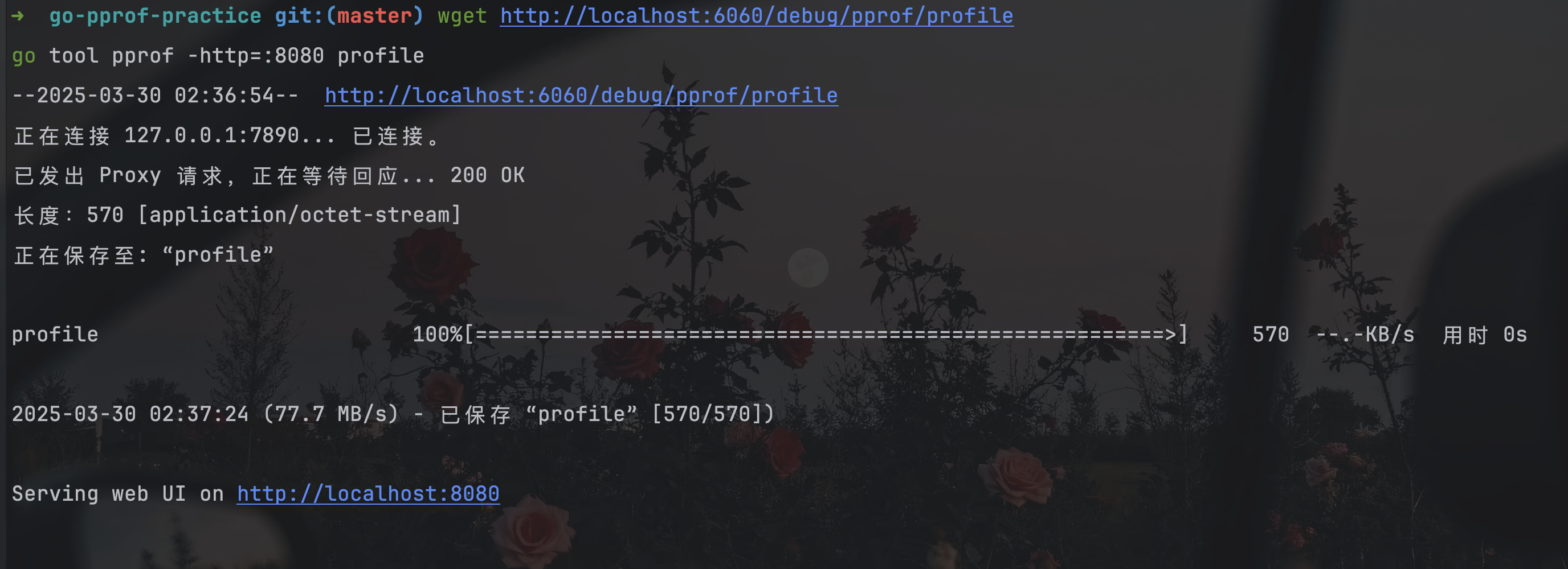 image-20250330023800502