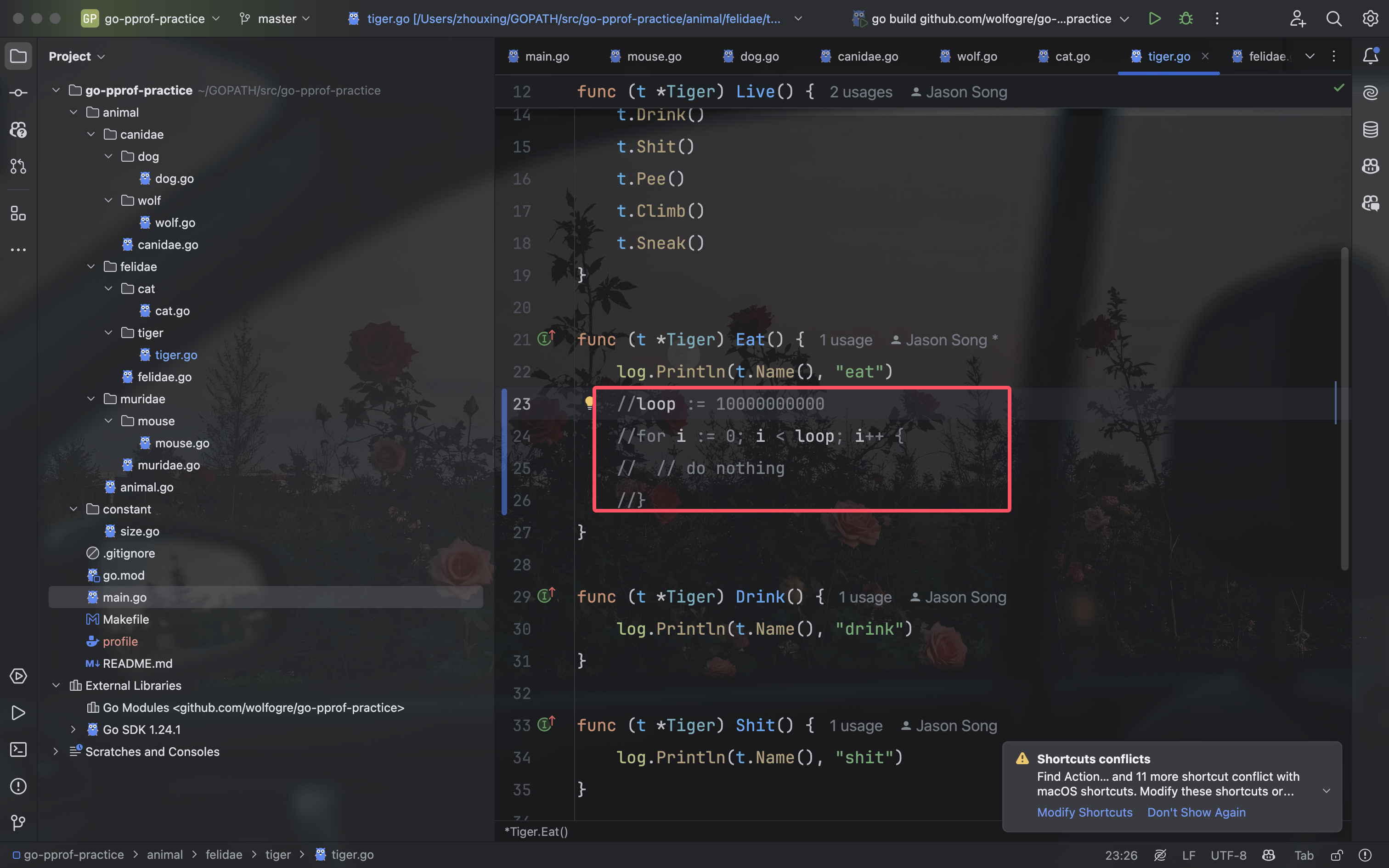 image-20250330024158132