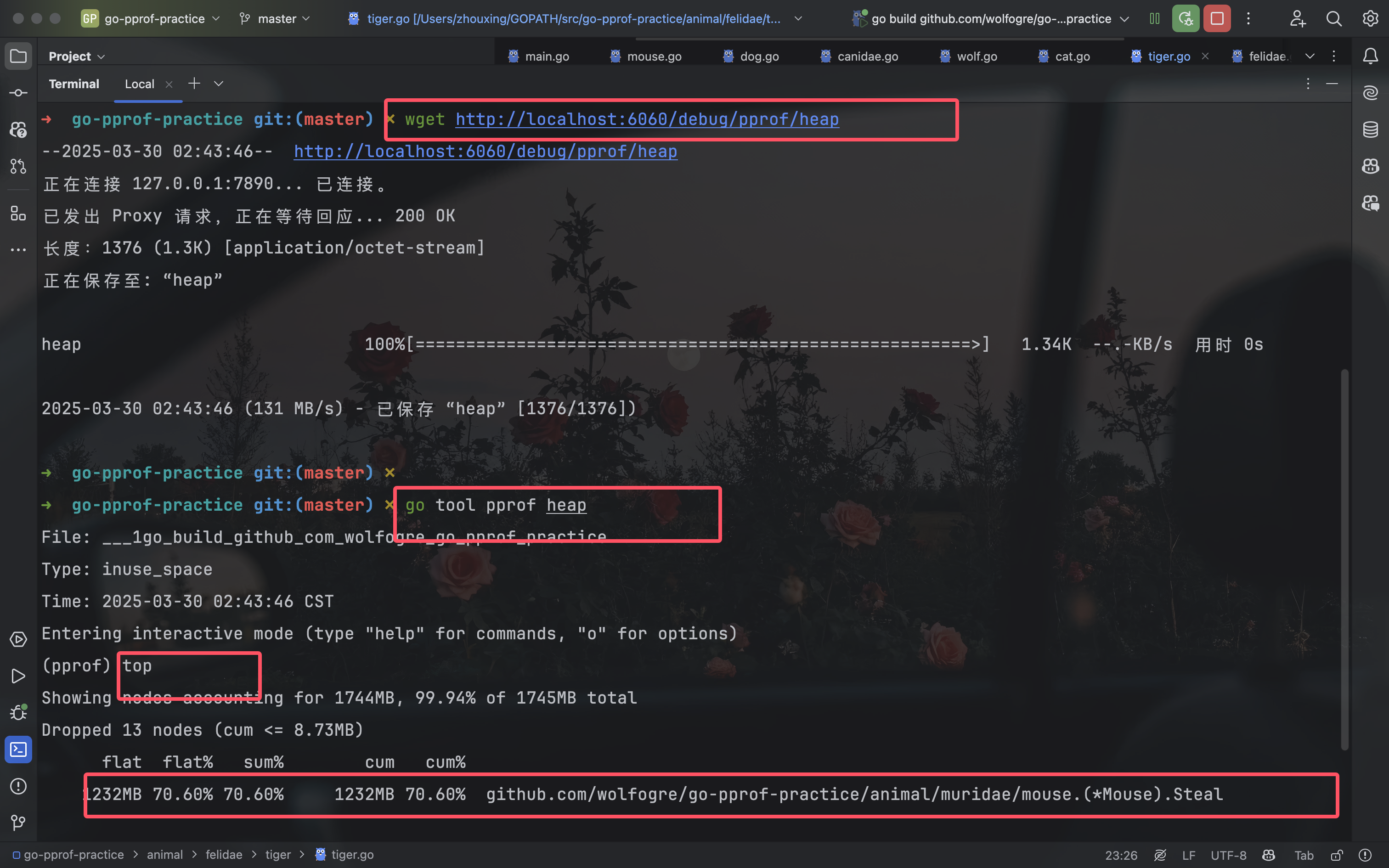 image-20250330024458592
